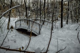 Мостик в парке. / Сокольники.