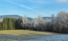 Серебристые / На склонах гор