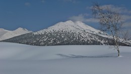 Одинокая берёза / Зима в горах белоснежная,с чистым воздухом,с заснеженными вершинами. Хозяйка - гора и рядом тоненькая берёзка выдерживает студёную зиму. Снимок сделан в Хакасии.