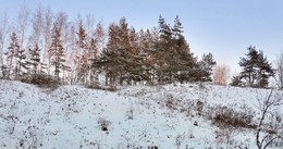 Высоко стоим, далеко глядим / Сосны и берёзы красуются на возвышенности на фоне заходящего зимнего солнца.