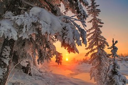 Пятничная зимовка / Иркутская область Казачинско-Ленский район вечерний морозец - 35