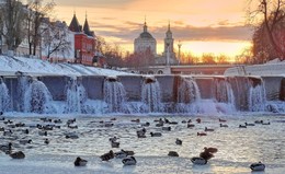 Пятничная зимовка / Птицы остались зимовать на реке в полынье