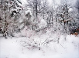 Зима / Зима, снег, природа...
