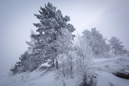 Перспектива зимы. / ***