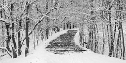 Лестница / Зима