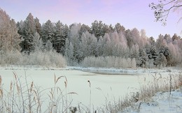 Предновогодний наряд / По деревьям серебристая
Перекинулась фата —
Белоснежная, пушистая,
Кружевная красота!
Все березы-сосны белые
Не могли узнать себя —
Так их украсила искусница
И чудесница зима.