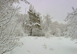 В зимнем парке / В зимнем парке