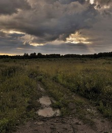 &quot;Когда в исходе дней дождливых...&quot; / &quot;По мере смены освещенья
 И лес меняет колорит.
 То весь горит, то черной тенью
 Насевшей копоти покрыт.
 Когда в исходе дней дождливых
 Меж туч проглянет синева,
 Как небо празднично в прорывах,
 Как торжества полна трава !...&quot;
 Б.Пастернак