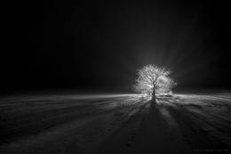 Призрачный воин / Ночь, дерево, фонарь, поле и туман.