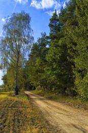 Осенняя дорога. / Прогулки в сентябре.