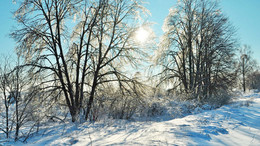 солнечно / зима в разгаре, утро, холодно,солнце светит