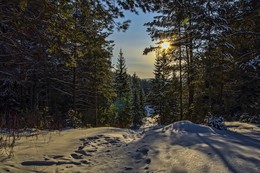Мороз и Солнце... / Зима в лесу...