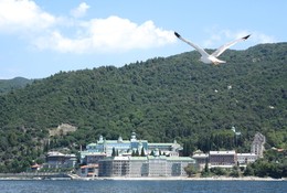Чайка и гора Афон / Seagull and Mount Athos, Halkidiki, Greece