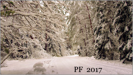 PF-2017 / С Новым Годом!!!