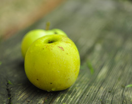 Антоновка / осенние яблоки