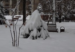 Ёлка на скамейке..... / Снег идет, и всё в смятеньи:
Убеленный пешеход,
Удивленные растенья,
Перекрестка поворот...

/Борис Пастернак/
