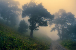 В туманной сказке Приэльбрусья / Снято на закате в горах Приэльбрусья, близ поселка Терскол.

http://www.youtube.com/watch?v=txQ6t4yPIM0
