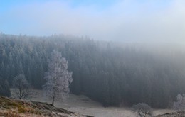 Январские туманы / В горах переменчивая погода..