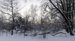 Зимний мотив / Зимнее утро в старом саду