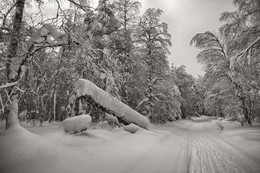 Зимняя дорога / Уральская зима