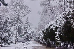 Белая пятница / Редкое явление снег в г. Анапа.