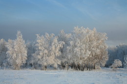 Красавица-Зима / На опушке леса