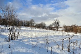 Тени на снегу / Ясный морозный день в разгаре, но солнце высоко не поднялось и тени от деревьев протянулись на длинное расстояние.