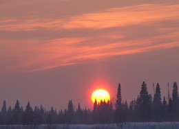 ЗИМНИЙ ЗАКАТ. / ТОМСКАЯ ОБЛАСТЬ.