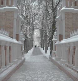 Зимняя прогулка / Царицыно -Фигурный мост ,зима .
