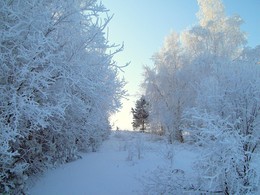 Зимняя сказка / Иркутская область