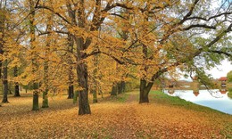 Осень у шлюзов / На берегу запруды осень разбросала листья желтые свои