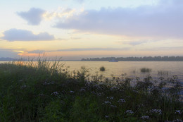 туман над рекой / лето, Волга
