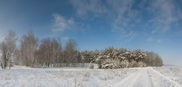 Зима в Беларуси / Зимняя сказка.
(панорама 6 кадров)