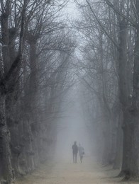 Весна........ / Петергоф. Апрель