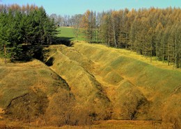 Возвращаясь к осени / Возвращаясь к осени