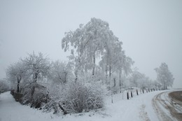 Зимние зарисовки / зима в городе