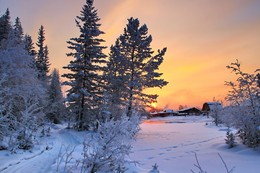 верние краски небосвода перед морозом / Иркутская область Казачинско-Ленский район 
(утром морозец - 45 )
