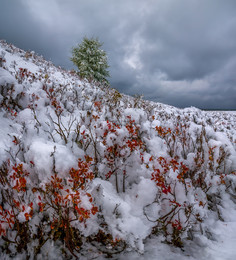 Цветная зима / Бурятия. Берег озера Байкал.
