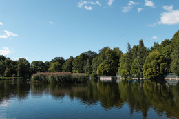 Отражение / Отражение неба и деревьев в озере