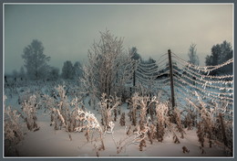 За колючей проволокой... / --*--*--*--*--*--