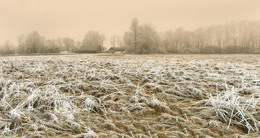 усадьба / Литовский подворье зимой, рано утром