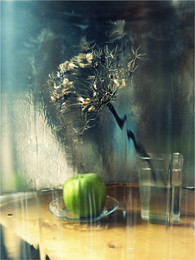 &quot;Сон зелёного яблока в дождливое утро&quot; / Снято через стекло