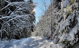 Остатки багряной осени / Обильный снегопад накрыл склоны гор