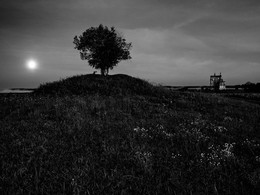 Церковь с луной и деревом у Спаса возле Бежецка ночью в 2014 / Церковь с луной и деревом у Спаса возле Бежецка ночью в 2014