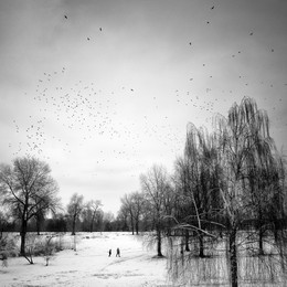 Двое и птицы / Парк &quot;Наталка&quot;, Оболонь, Киев, Украина.