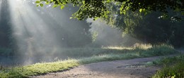 На пруду.... / Петербург. Шуваловсксий парк. Август