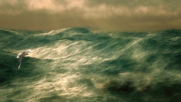 Море волнуется... / а он,мятежный,просит бури...