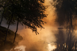 Солнце восходит за кустами в пруду Середниковском летом 2008 / Солнце восходит за кустами в пруду Середниковском