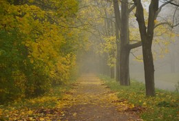 Осеннее утро... / Осеннее туманное утро в Александровском парке