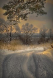 Зимний вечер / Подмосковный лес